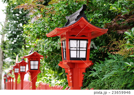 神社 木 参道 灯篭の写真素材 - PIXTA