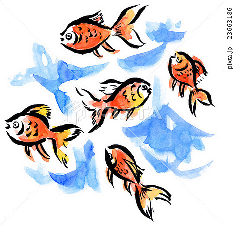魚類 金魚 夜店 絵手紙風の写真素材