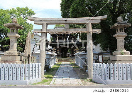 感田神社 大阪府 貝塚市 神社仏閣の写真素材