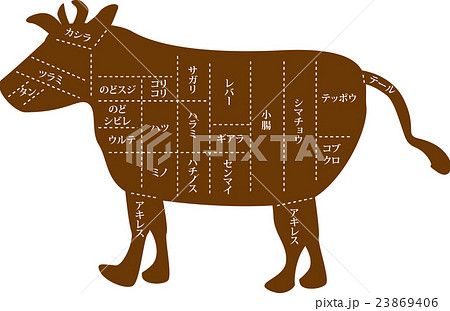 牛 牛肉 部位 図解のイラスト素材 牛 牛肉 部位 図解のイラスト素材