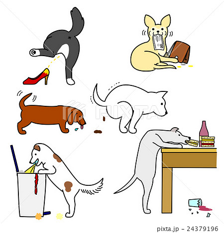 犬 いたずら 噛む イラストの写真素材