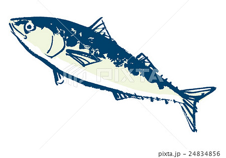 鯖 青魚 魚 水彩画のイラスト素材