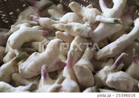 生姜 乾燥 干した 天日干しの写真素材