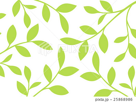 木の枝 枝 葉 白抜きのイラスト素材