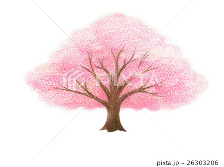 輝い 桜 花 春 色鉛筆画のイラスト素材 - PIXTA 絵画