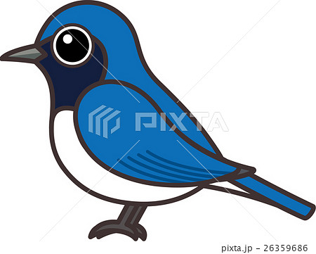 オオルリ 鳥 夏鳥のイラスト素材 - PIXTA