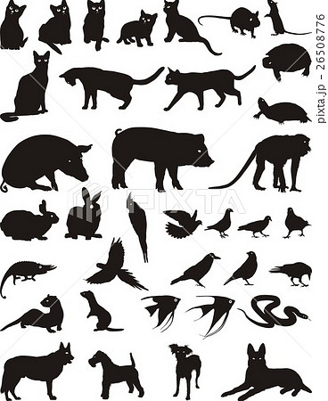 猿 檻 動物 ケージのイラスト素材