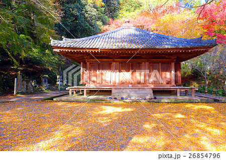 国宝 富貴寺 紅葉 銀杏の写真素材