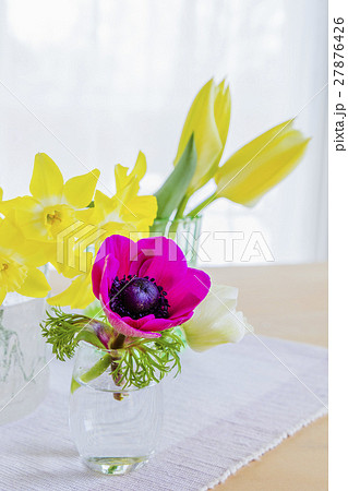 日本水仙 水仙 花瓶 フラワーアレンジメントの写真素材 - PIXTA