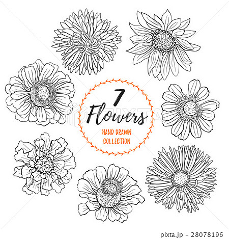 ベストモノクロ 花 イラスト 最高の花の画像