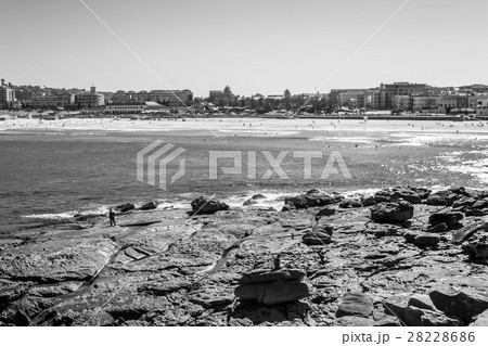 豪州 シドニー 浜辺 白黒の写真素材