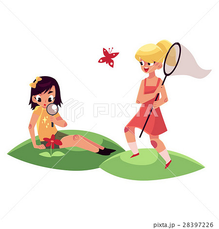 蝶 ちょうちょ 餌 えさのイラスト素材