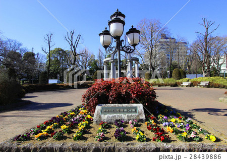 若葉東公園 西洋庭園 庭園 公園の写真素材