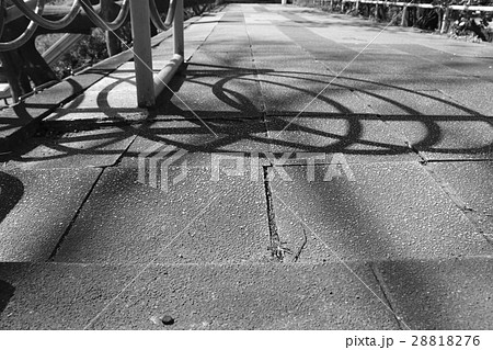 モノクロ スナップ 白黒 かっこいいの写真素材