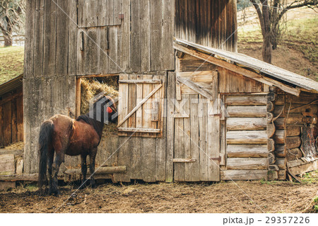 馬小屋 牧場の写真素材
