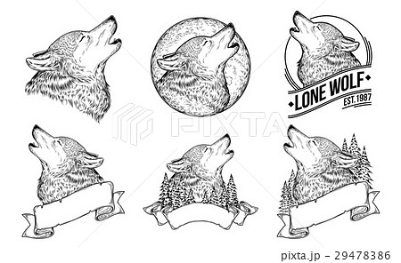 おおかみ オオカミ 狼 遠吠えのイラスト素材