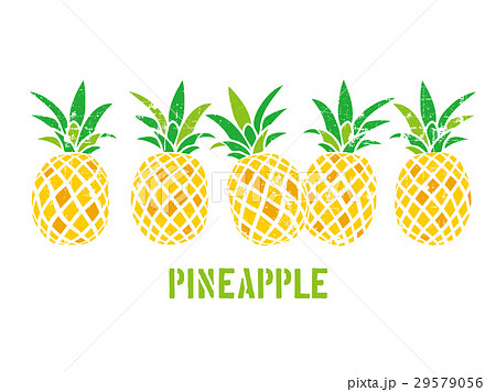 パイナップル パイン Pineapple ベクターのイラスト素材