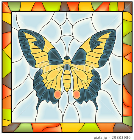 窓蛾 光 蛾 蝶の写真素材
