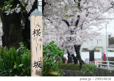 福山雅治の写真素材