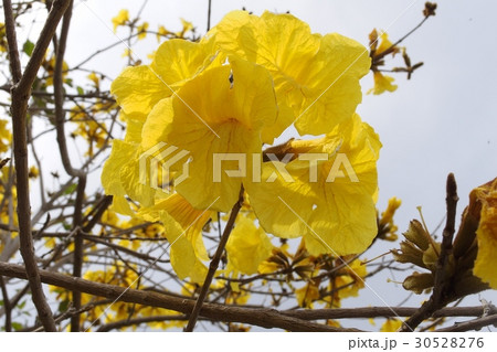 いっぺいの写真素材 いっぺいの写真素材