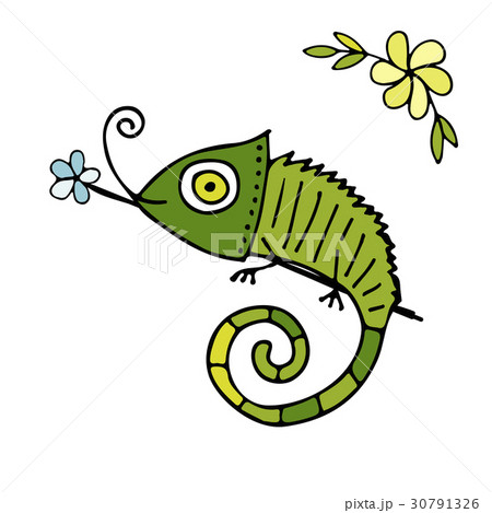カメレオン イラストの写真素材