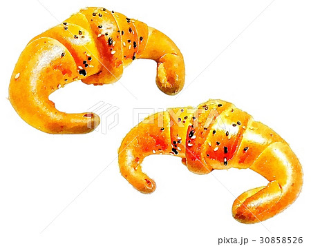 充满活力的美好的手测量仪水彩交叉点图片白色背景:西部碗牛肉马鲭鱼