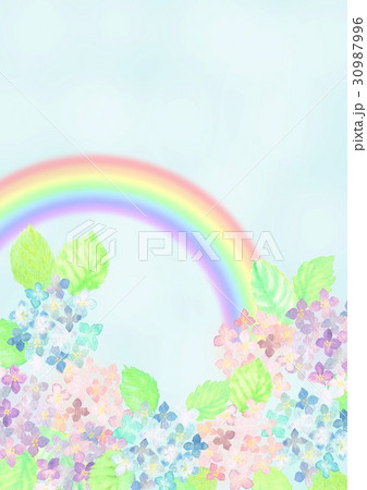 西洋紫陽花のイラスト素材 - PIXTA