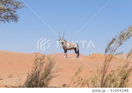 Slqbntqy8caxfm Slqbntqy8caxfm