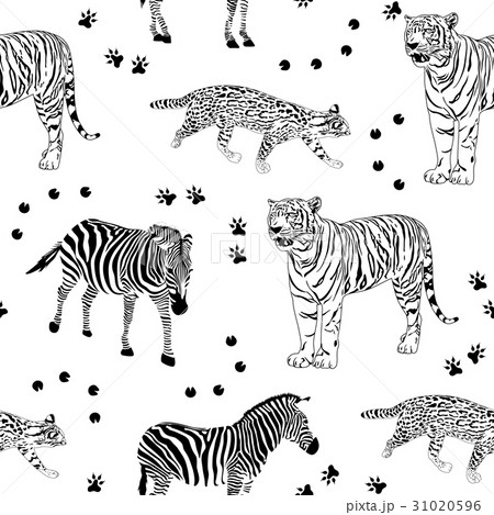 トラの横顔のイラスト素材