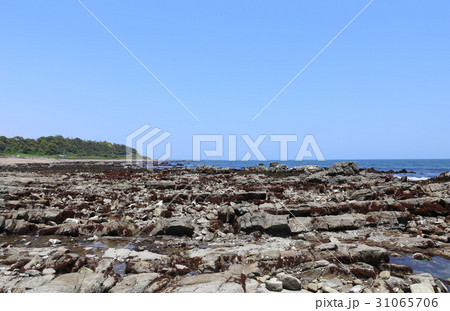 磯崎海岸の写真素材