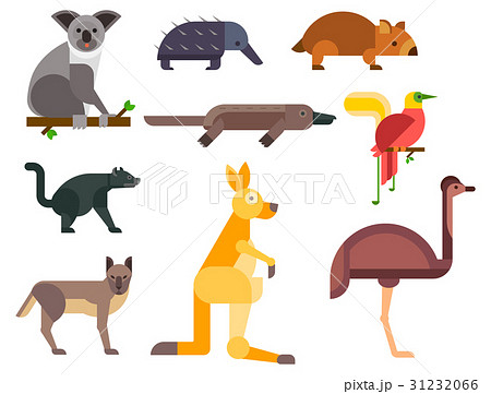 オーストラリア 動物 自然 野生のイラスト素材