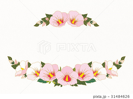 花 木槿 植物 イラストの写真素材