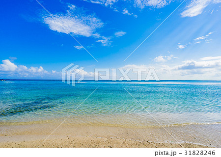 夏の海の写真素材集 ピクスタ