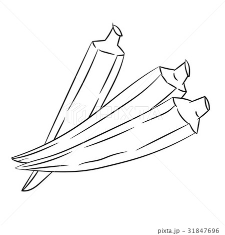 ベクター おくら オクラ 描画のイラスト素材 Pixta