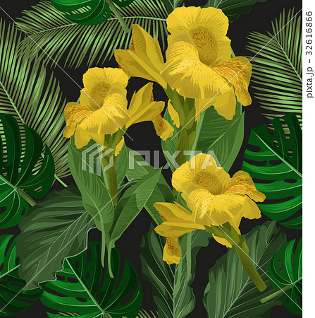 カンナの花のイラスト素材