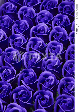 無料イラスト画像 最新かっこいい 薔薇 紫 イラスト