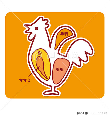 鶏肉 部位 肉 図解の写真素材