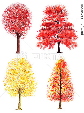 秋 木 樹木 紅葉のイラスト素材