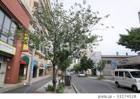 本郷商店街 本郷通 本郷通商店街 商店街の写真素材