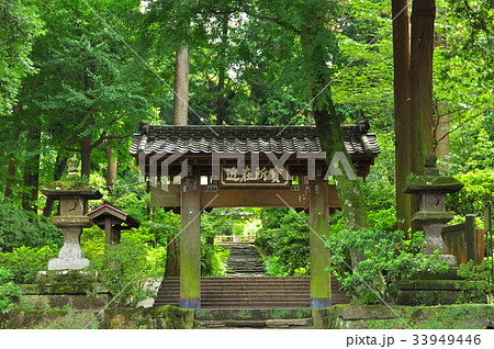 水彩画 (北鎌倉浄智寺)額縁付き New//水彩画 北鎌倉浄智寺の枝垂れ桜 | C.Nagata Gallery