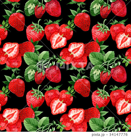 苺の芽生えの写真素材