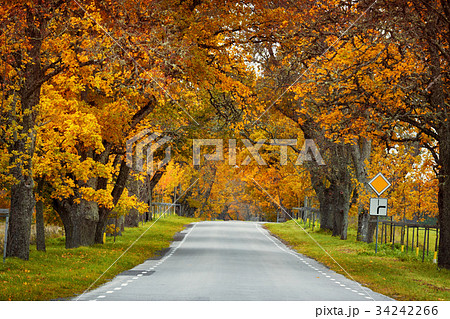 遠近法 道の写真素材