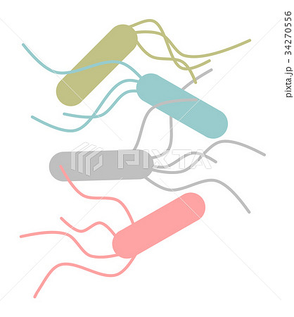 菌 イラスト 複数 大腸菌のイラスト素材