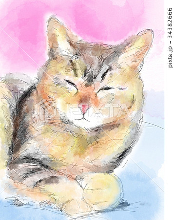 猫 イラスト スケッチ ペン画のイラスト素材