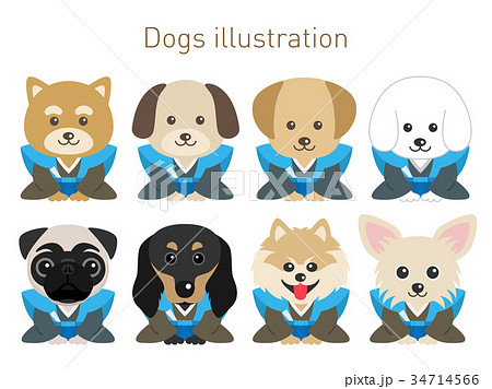 ベクター 犬 チワワ お座りのイラスト素材