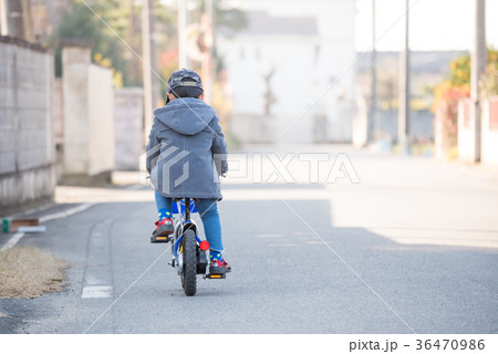 幼児 後姿 少年 自転車の写真素材