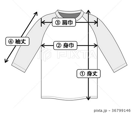 服 寸法 コレクション フリー素材