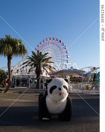 遊園地 乗り物 パンダ パンダの乗り物の写真素材