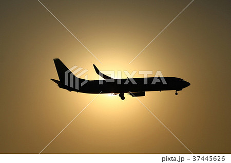 Jal Ana 飛行機 ヒコーキの写真素材