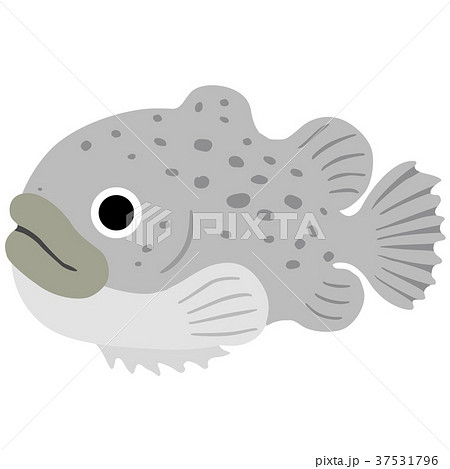 ごっこ 魚 深海 Fishのイラスト素材